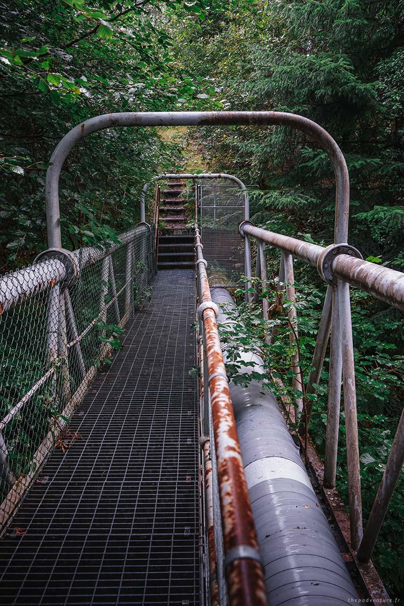 Passerelle forestière près de Black Rock Gorge à Evanton